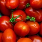Como Superar a Procrastinação Usando a Técnica Pomodoro para Aumentar seu Foco
