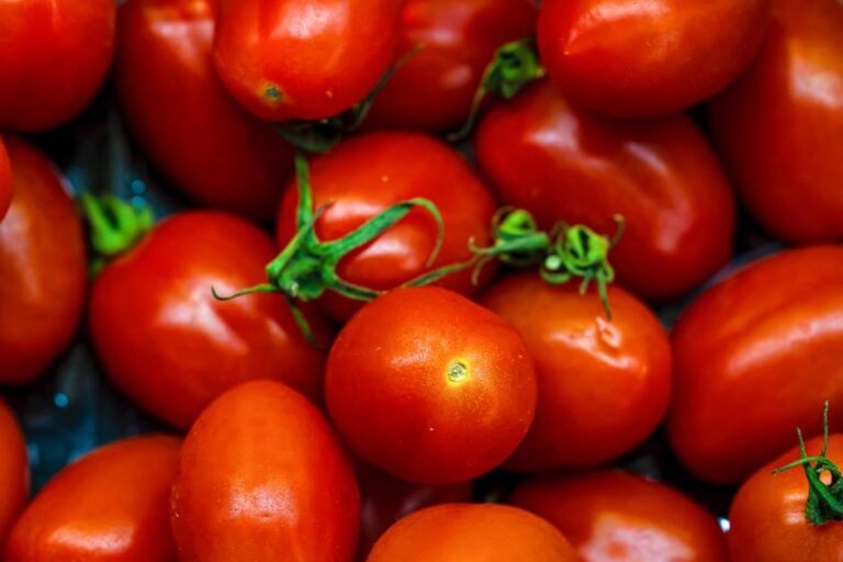 Como Superar a Procrastinação Usando a Técnica Pomodoro para Aumentar seu Foco